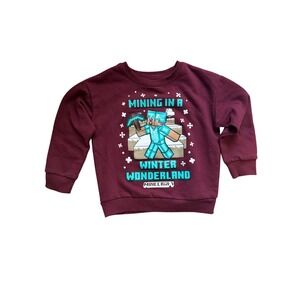Minecraft Boys Mining in a Winter Wonderland Sweatshirt Red Size 4/5